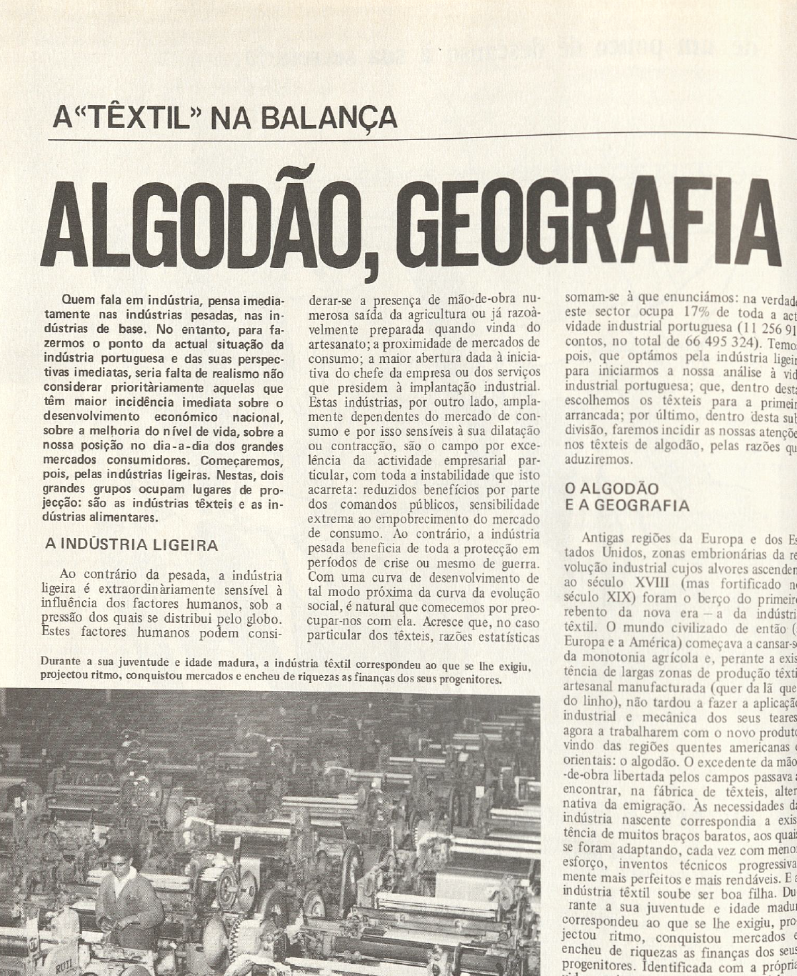 "Algodão, geografia e reconversão"