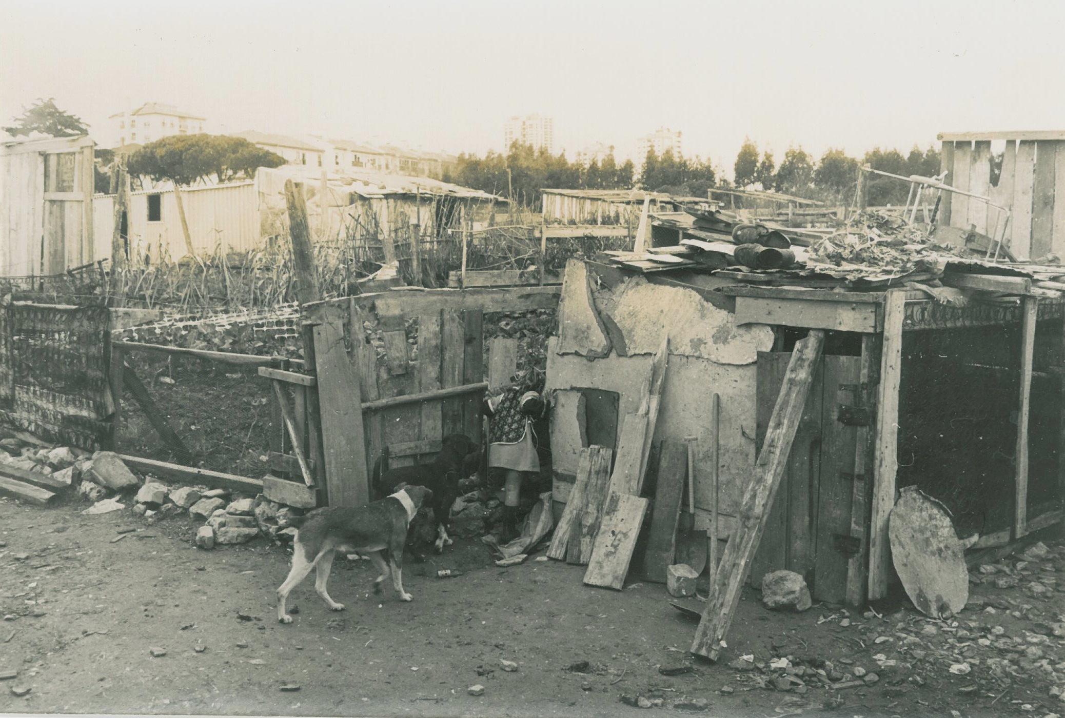 Bairro das Marianas em Cascais, 1975 (10) - Espólio J.J. Hipólito dos Santos