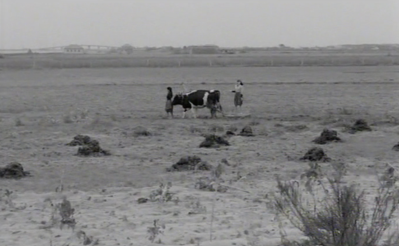 Excerto de "Mudar de vida" (1966)