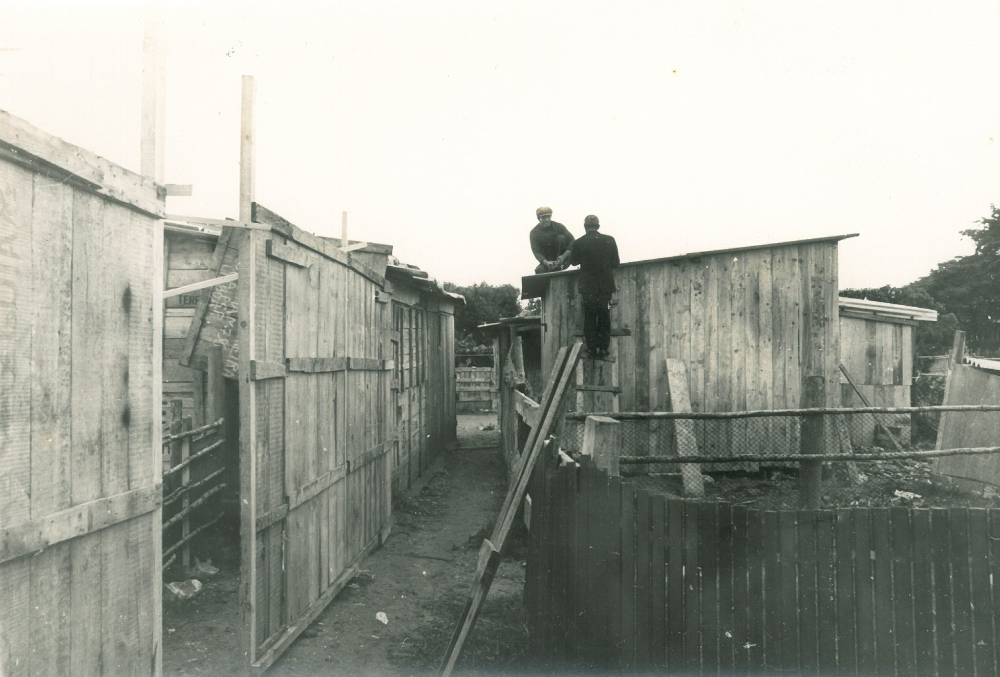 Bairro das Marianas em Cascais, 1975 (4)