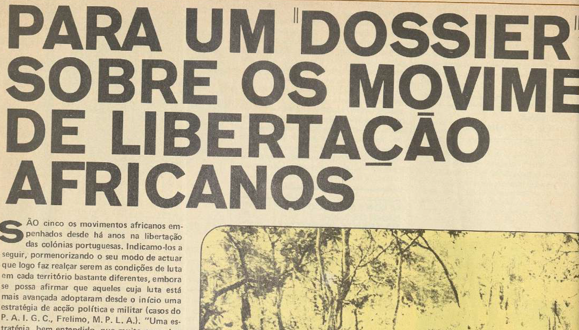 "Para um dossier dos movimentos de libertação africanos"