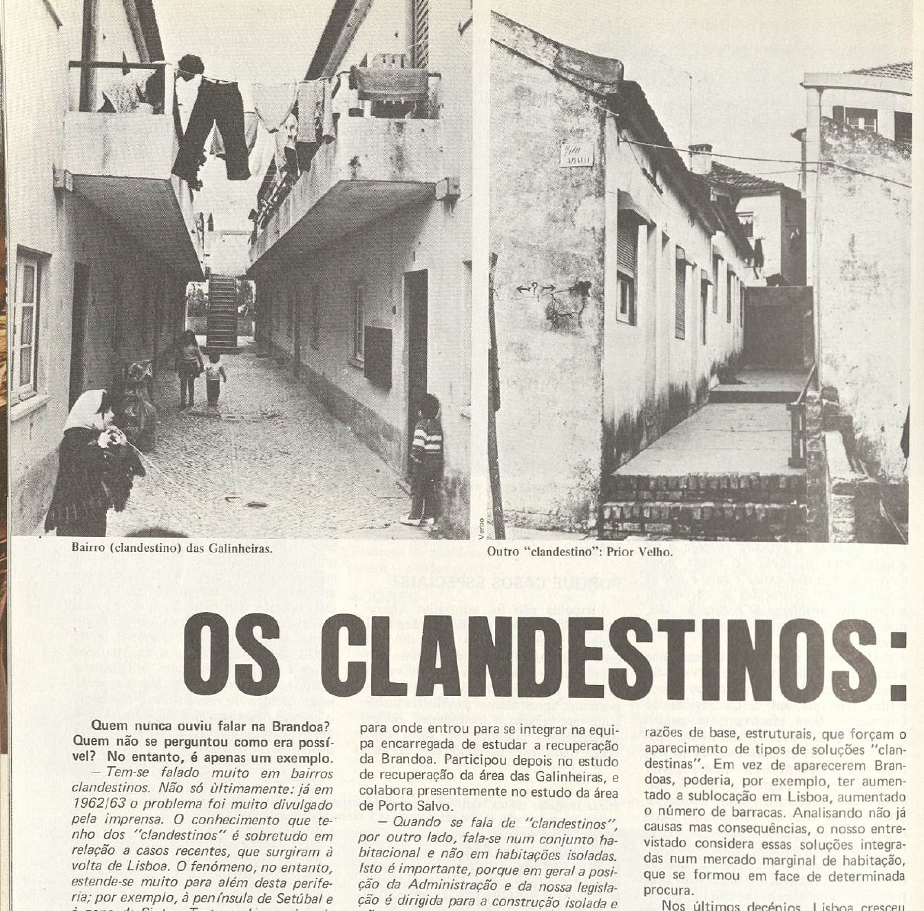 "Os clandestinos"